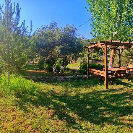Vita Camping Otel Geyikbayiri Zewnętrze zdjęcie